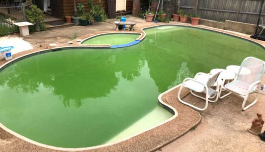 How to clear a green pool?
