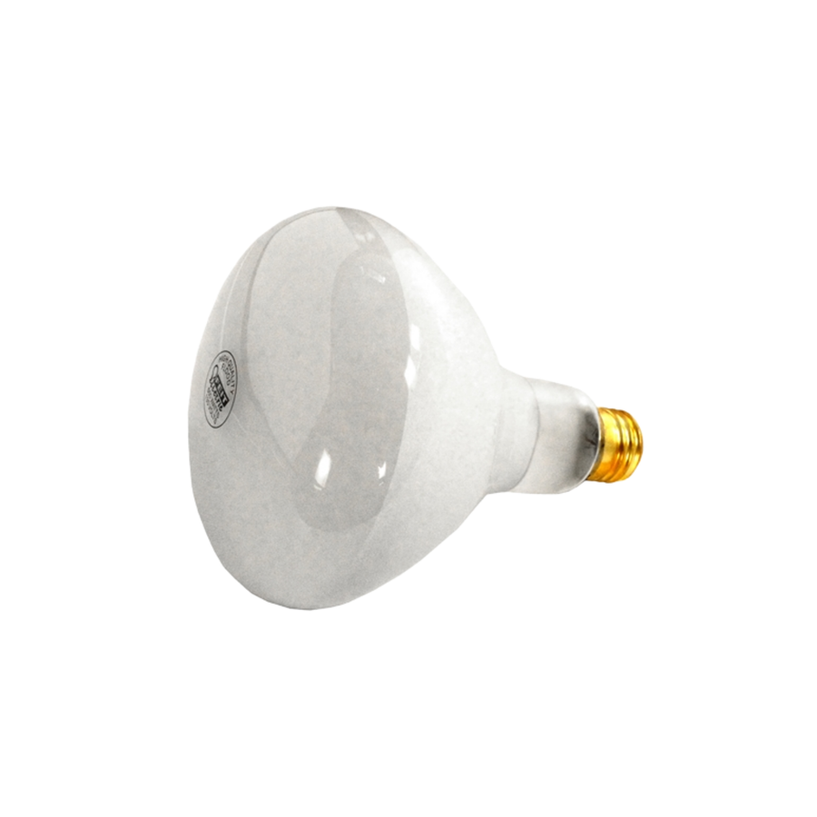 Pool Light - 300w, 12v